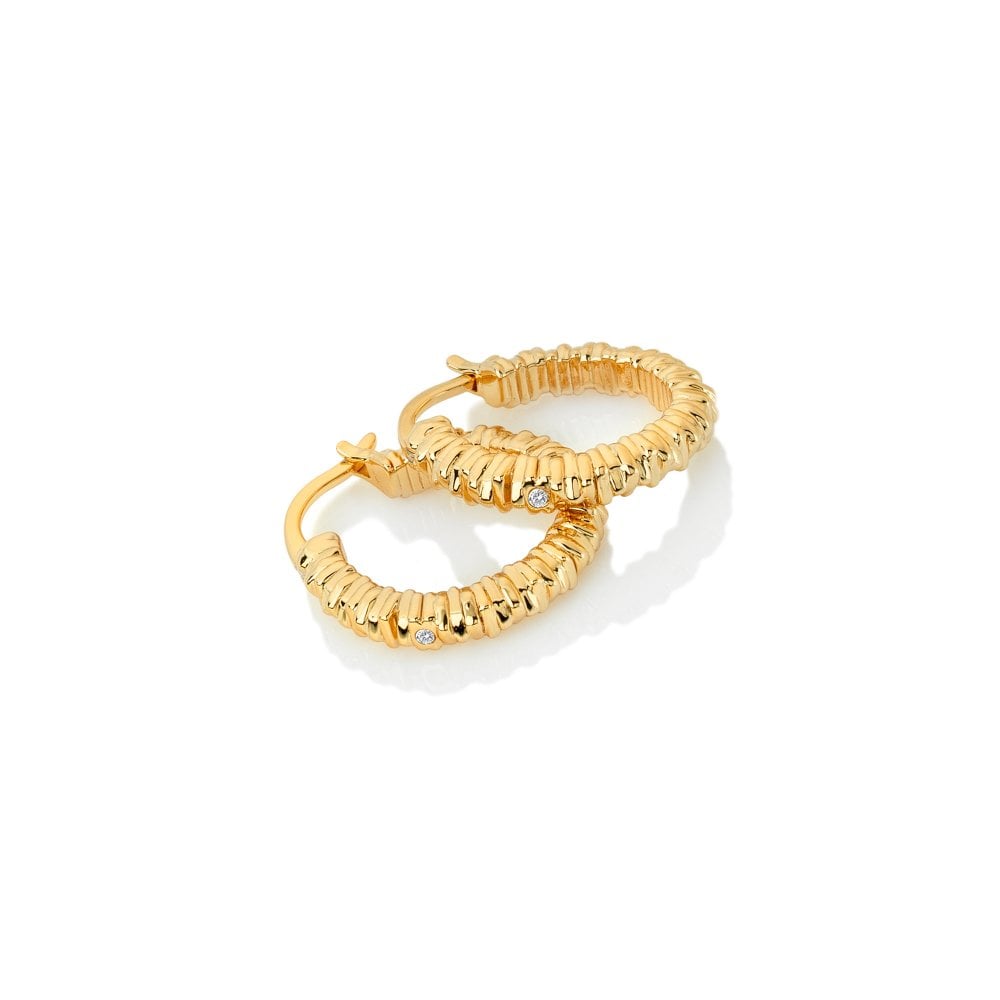 Gold hoop earrings on a white background