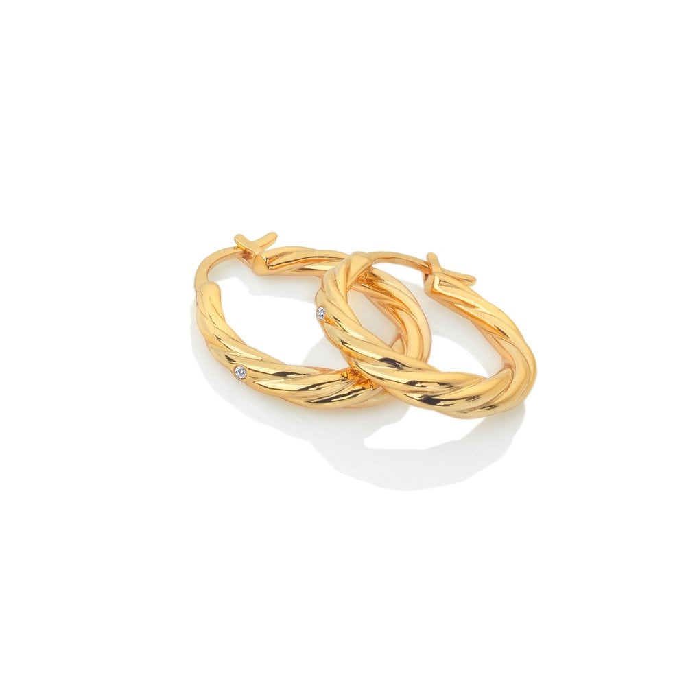 Pair of gold hoop earrings on a white background