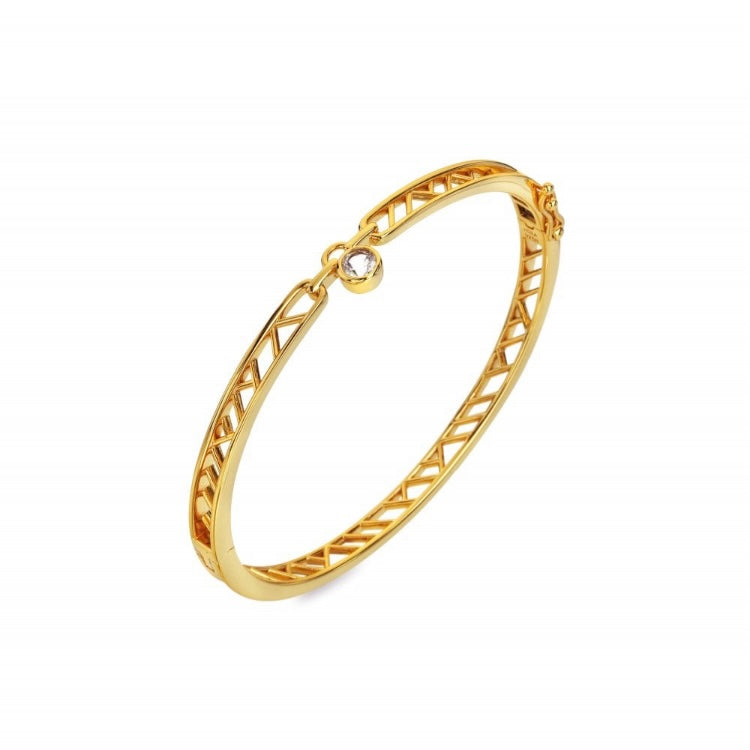 HD X GE Revolve Bangle