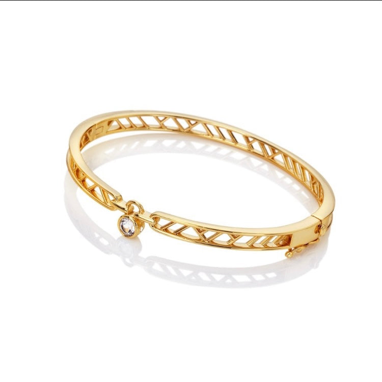 HD X GE Revolve Bangle close up